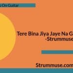 Tere Bina Jiya Jaye Na Guitar Chords