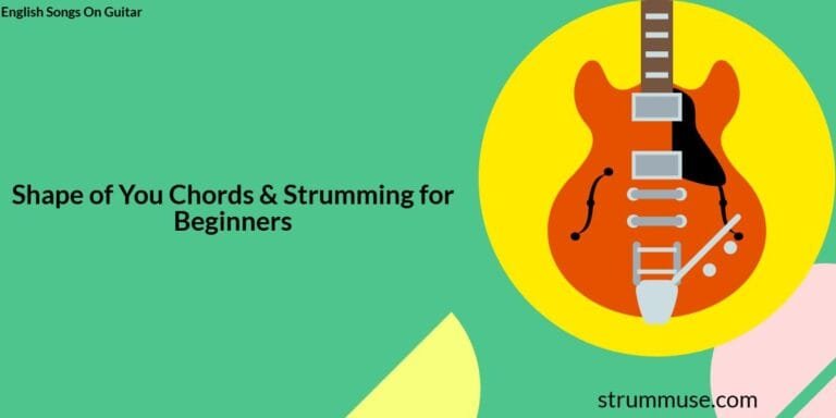Shape of You Chords & Strumming for Beginners