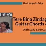 Tere Bina Zindagi Se Easy Guitar Chords & Lyrics